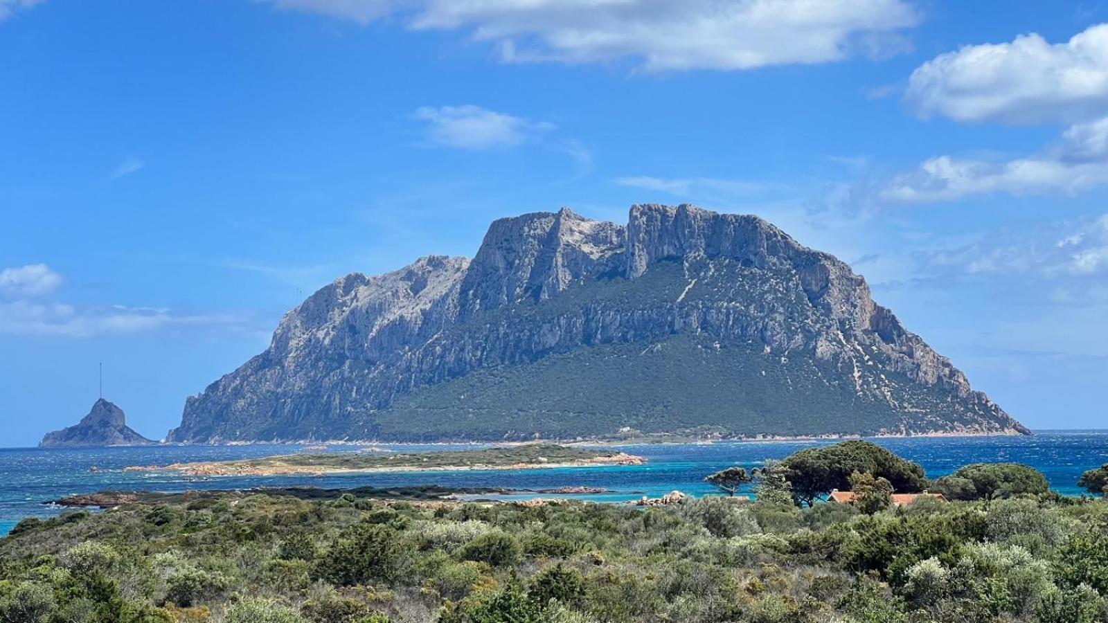 Appartamento Da Wanna Olbia Exterior foto